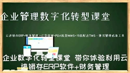 銷售訂單的商品備注信息通過歷史明細功能查詢 數字化轉型企業管理云平臺 西安來肯信息技術